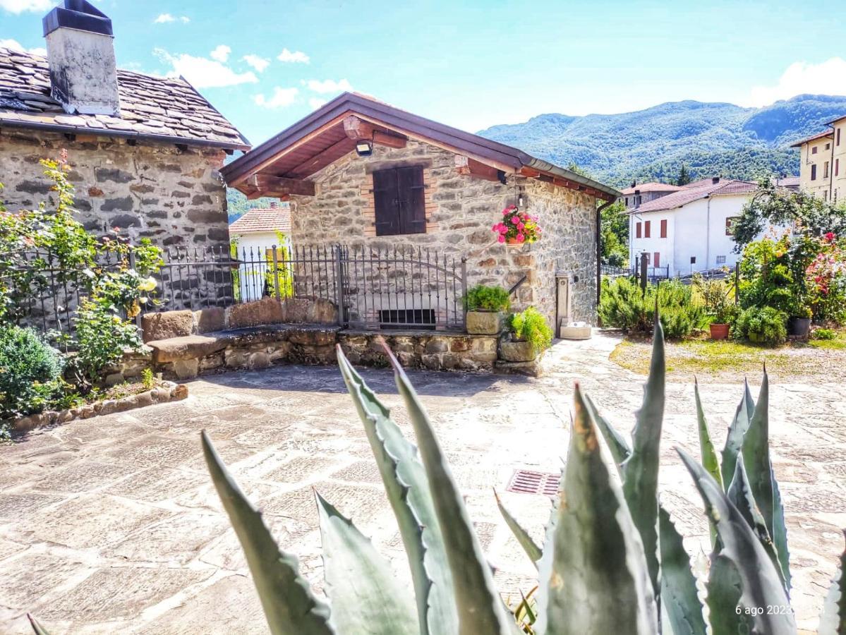 Il Bosco Di Silvia Bosco (Parma) Exterior foto